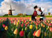 Hou van Holland Stadsspel - Overal in Nederland