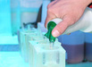 Lunchvaart - Ontdek de Mol - Icebar