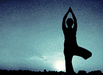Tai Chi Workshop - Utrecht